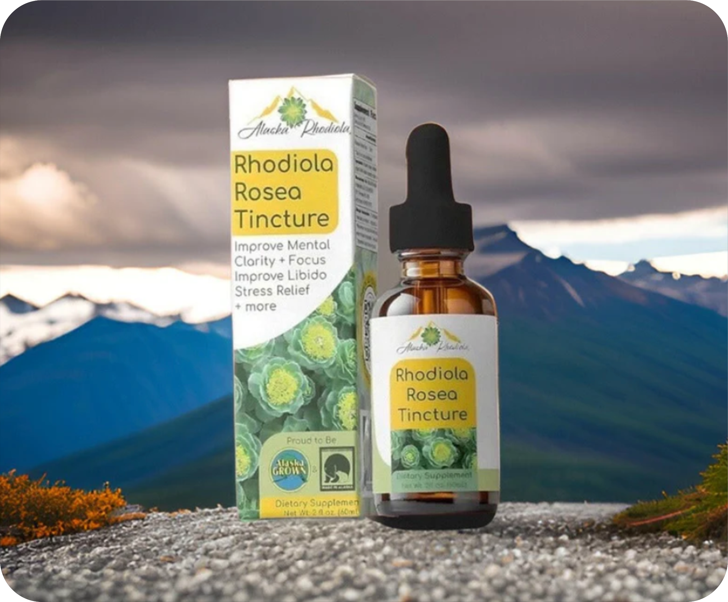 Alaska Rhodiola® Tincture – 2 oz Bottle